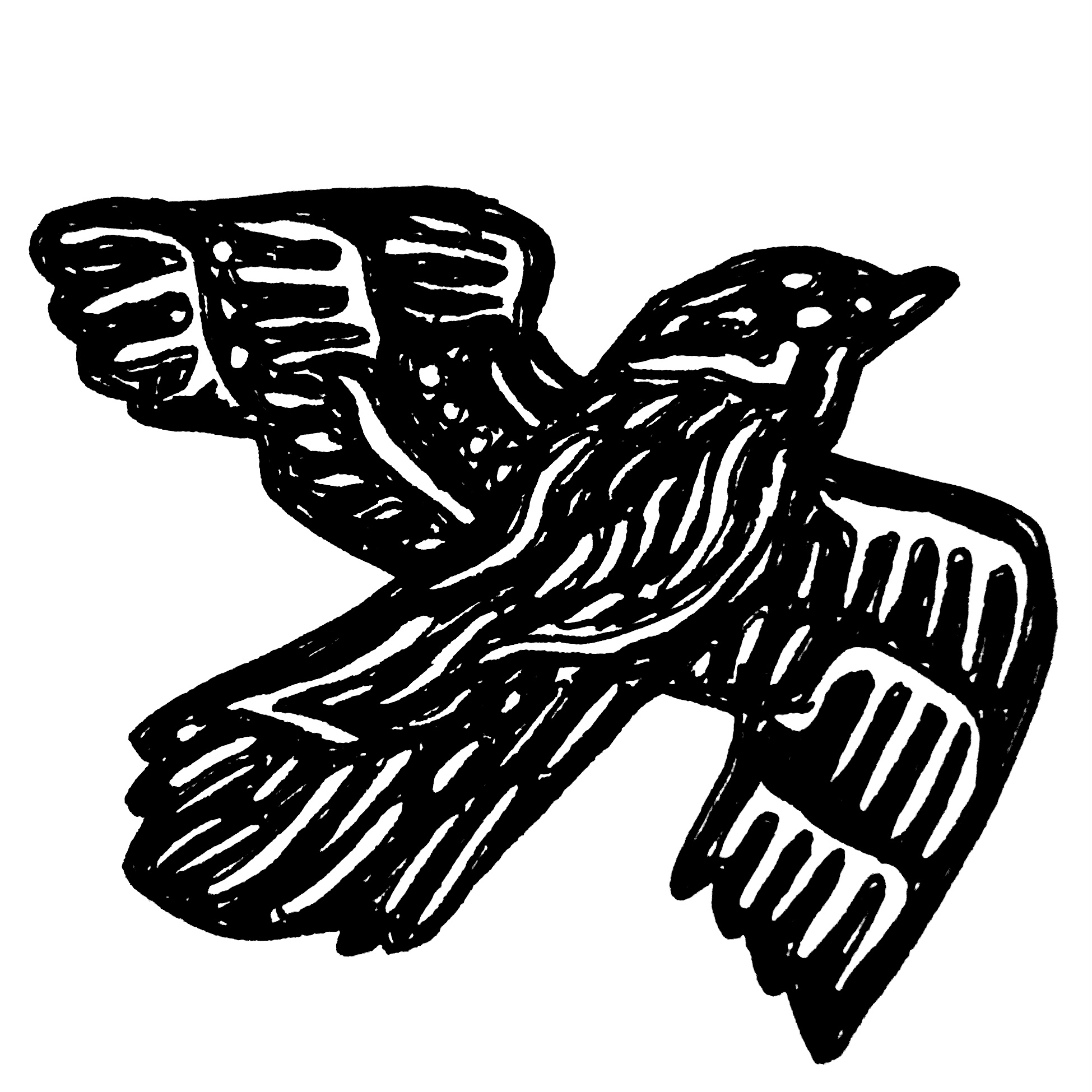 ink drawing of a bird in a woodcut style, referenced from the cover of 'Ghostland' by Edward Parnell
